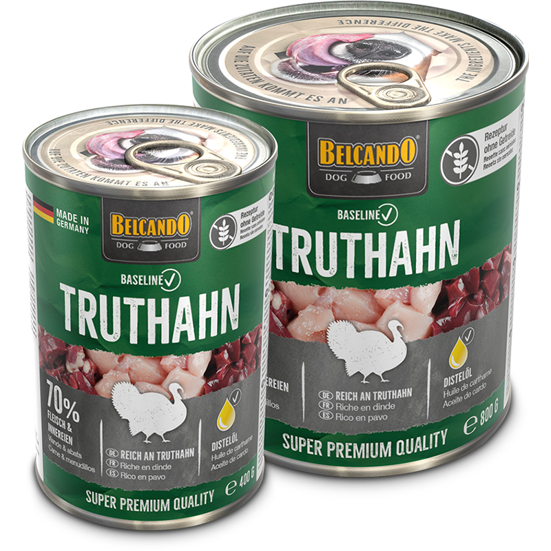 BELCANDO Baseline Truthahn | SW10047 BELCANDO Baseline Truthahn | SW10047