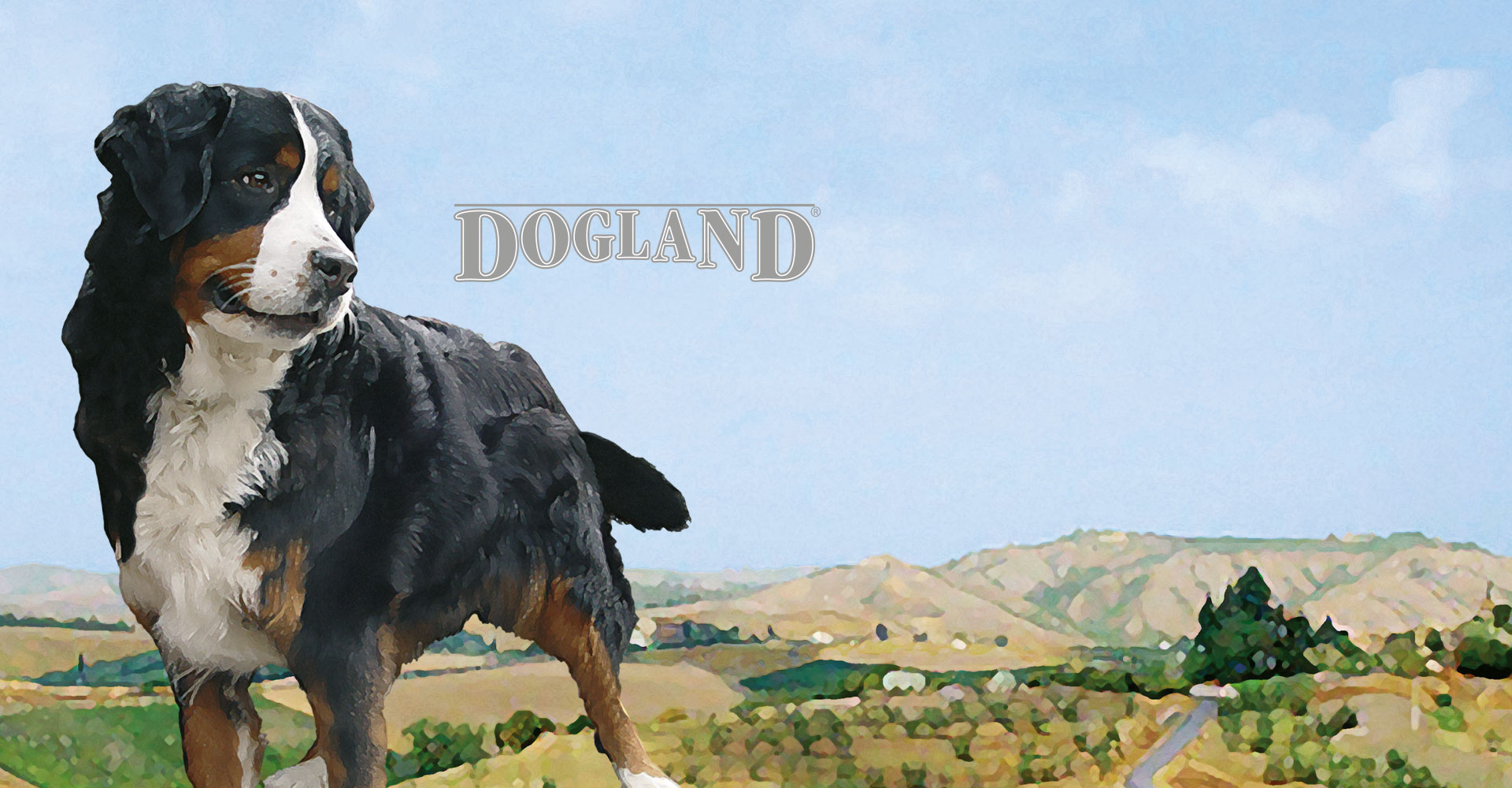 Dogland Trockennahrung  für Hunde